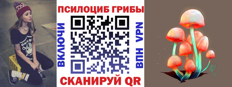 Галлюциногенные грибы Psilocybine cubensis  Красково 